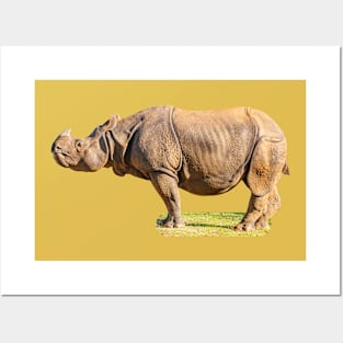 Outstanding Greater one horned rhino Posters and Art